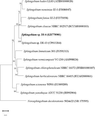 Isolation of a diazinon-degrading strain Sphingobium sp. DI-6 and its novel biodegradation pathway